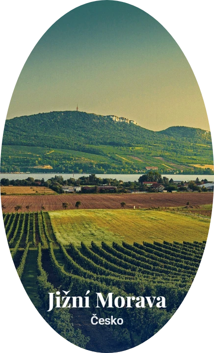 Jižní Morava